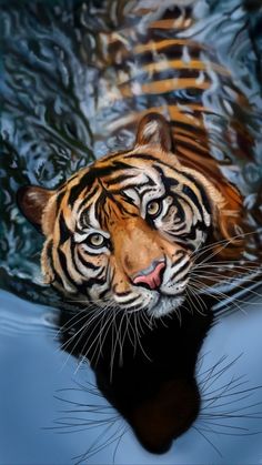 Tiger Swimming, Tiger In Water, Digital Drawings, A Tiger, In Water, Swimming, United States, Illustrations, Drawings