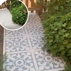 an outdoor walkway with blue and white tiles on the ground, surrounded by green bushes