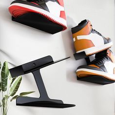 three pairs of shoes hang on the wall next to a potted plant and shoe rack