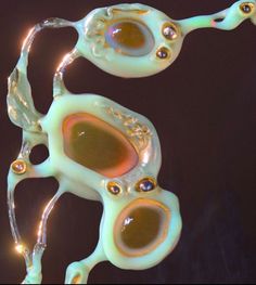 an image of some type of animal with bubbles in it's body and eyes