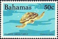 a postage stamp with a turtle swimming in the ocean