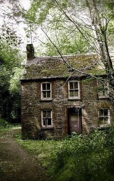 an old stone house in the woods with trees around it and a dirt path leading up to it