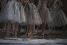 several ballerinas are lined up in silver tutu skirts, with their feet on the ground