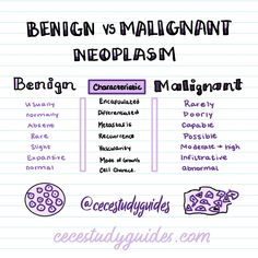 the differences between male and female infoplasm in english, german or spanish