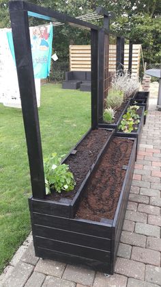 an outdoor garden area with raised planters and plants growing in the soil on each side