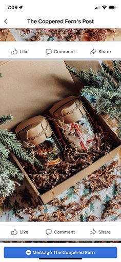 an open box filled with shoes on top of a bed next to pine cones and evergreen branches