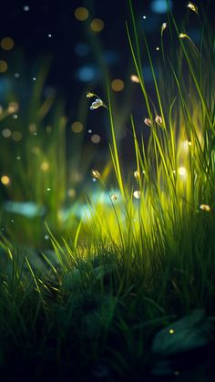 the grass is glowing in the dark with dews on it and bubbles floating around