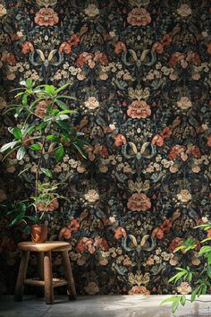 two plants are in front of a wall with a floral pattern on it and a wooden stool