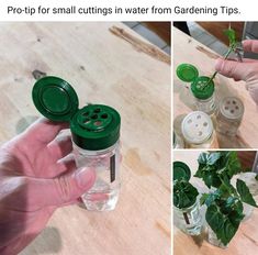 a person holding a jar with some plants in it and two pictures showing how to put buttons on the lid