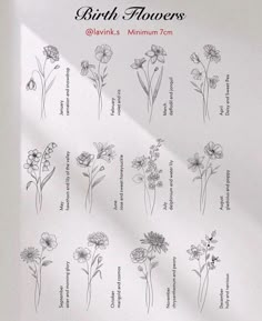 a sheet of paper with flowers on it and the words birth flowers written in black ink