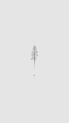 Pine tree, tamarack tree, canadian pines, pine cones, yellow forest, beauty, tattoo, black ink, minimal tattoo Inner Arm Tattoo Placement, White Pine Tree Tattoo, Fine Line Pine Tree Tattoo, Natural Tattoos, Birch Tree Tattoos, Small Nature Tattoo, Simple Tree Tattoo, Pine Tattoo, Pen Logo