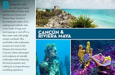 an advertisement for the cancun and riviera mayoa marine park in mexico