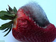 a close up of a strawberry covered in powder