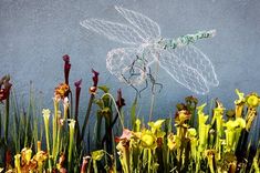 a wire dragon sculpture sitting in the middle of some flowers