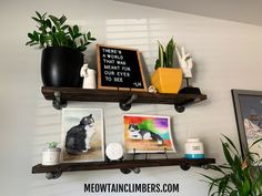 two wooden shelves with pictures and plants on them