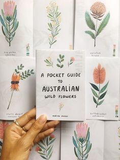 a person holding up a book with illustrated flowers on the front and back cover, which reads a pocket guide to australian wildflowers