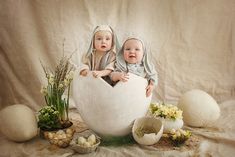 two babies are sitting in an egg shell surrounded by eggs, flowers and succulents