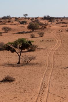 Sandy road in the Kalahari Desert Desert Africa, Africa Desert, African Desert, African Nature, Kalahari Desert, Kalahari Desert South Africa, Sahara Desert Photography, Namibia Desert Photography, Desert Road