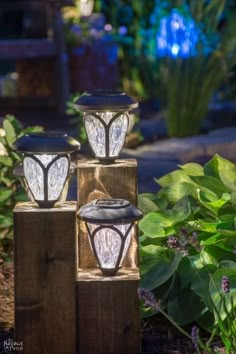 three lights are sitting on wooden blocks in the garden