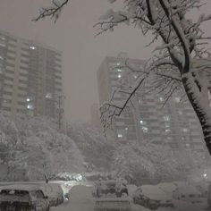 cars are parked in the snow near tall buildings