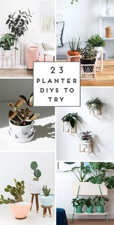 several different types of houseplants are shown in this collage with the words, 25 planter diys to try