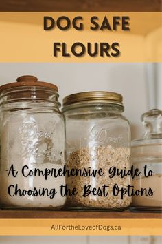 three glass jars filled with dirt sitting on top of a wooden shelf next to each other