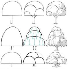 how to draw trees in different stages