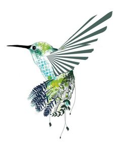 a drawing of a hummingbird flying with its wings spread