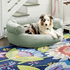 a dog is laying in his bed on the floor