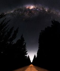 the night sky is filled with stars and trees, as seen from an empty road