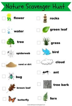 nature scavenger hunt for kids with pictures and words on the front, in green