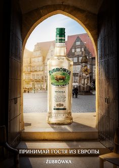 a bottle of alcohol sitting in front of an arch with the words eurovine on it