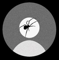 a black and white image of a spider in the middle of a circle with light coming from it