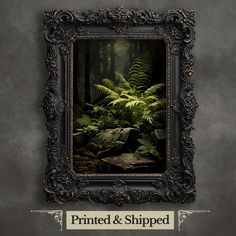 a framed photograph of ferns and rocks in a forest with the words printed & shipped below it