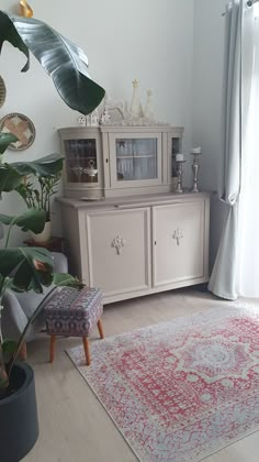 a living room with a rug, table and chair next to a large potted plant