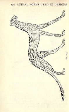 an animal form used in designs from the early 1900's is depicted on this page