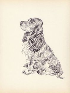 a black and white drawing of a dog