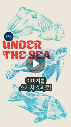 the poster for under the sea with fish and turtle on it's back side