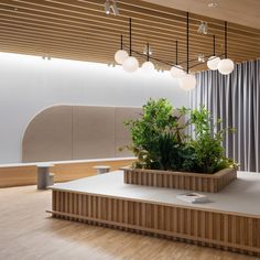 a planter in the middle of a room with wooden flooring and lights hanging from the ceiling