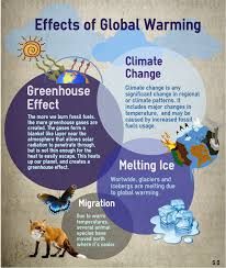 Green House Gases, Global Warm, The Greenhouse Effect, Save Planet Earth, Greenhouse Effect, Earth And Space Science, Carbon Dioxide, Basic Concepts, Day By Day