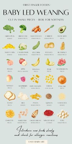 Ready to introduce solids to your baby? Bookmark this super handy baby finger foods chart, perfect for baby led weaning! Healthy, easy finger foods for baby from 6 months to feeding toddlers. Baby safe fruits, veggies, meat, grains.
​
​(Also good for mamas who like: baby feeding, baby first foods, baby & toddler foods, healthy toddler meals, healthy babies, baby food recipes, DIY baby food, baby development, baby advice, and homemade baby food)