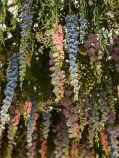 many different colored flowers hanging from a tree