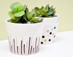 two small pots with plants in them on a white counter top next to each other