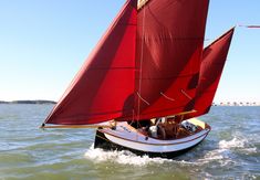 a sailboat with red sails is in the open water on a bright sunny day