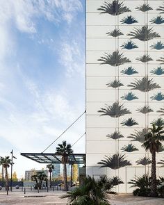 a tall building with palm trees in front of it