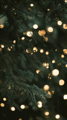 a close up view of a christmas tree with lights on it's branches in the background