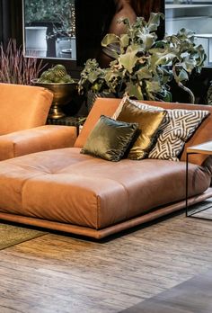 a living room filled with lots of furniture next to a potted plant on top of a hard wood floor