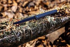 a knife sitting on top of a tree branch covered in moss