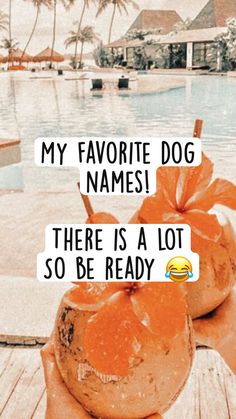 an orange pumpkin sitting on top of a wooden table next to a pool with the words, my favorite dog names there is a lot so be ready