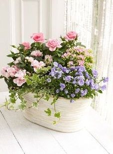 pink and purple flowers are in a basket on a white table next to a window